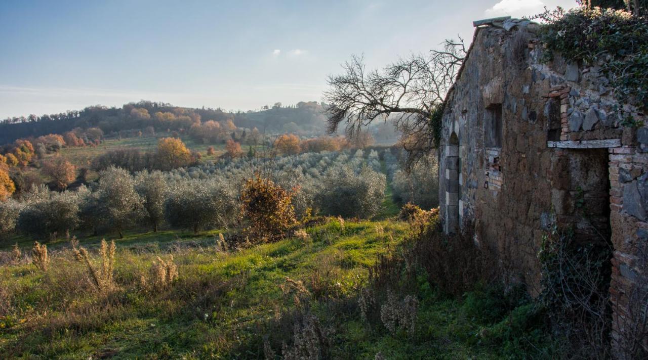 Villa Monteporzano Orvieto Quarto foto